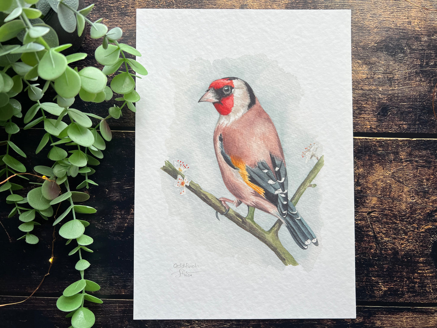 Goldfinch on blossom A4 print