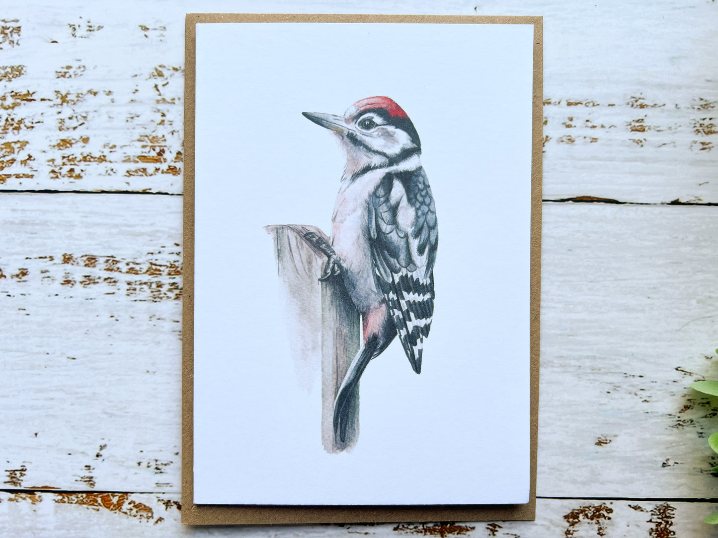 Great Spotted Woodpecker A4 print 2023