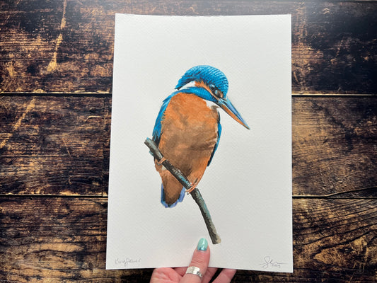 An A4 watercolour painting of a kingfisher on a perch.
