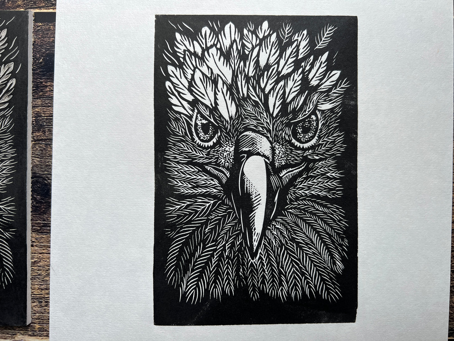 This is a close up of a lino print of a golden eagle up close.