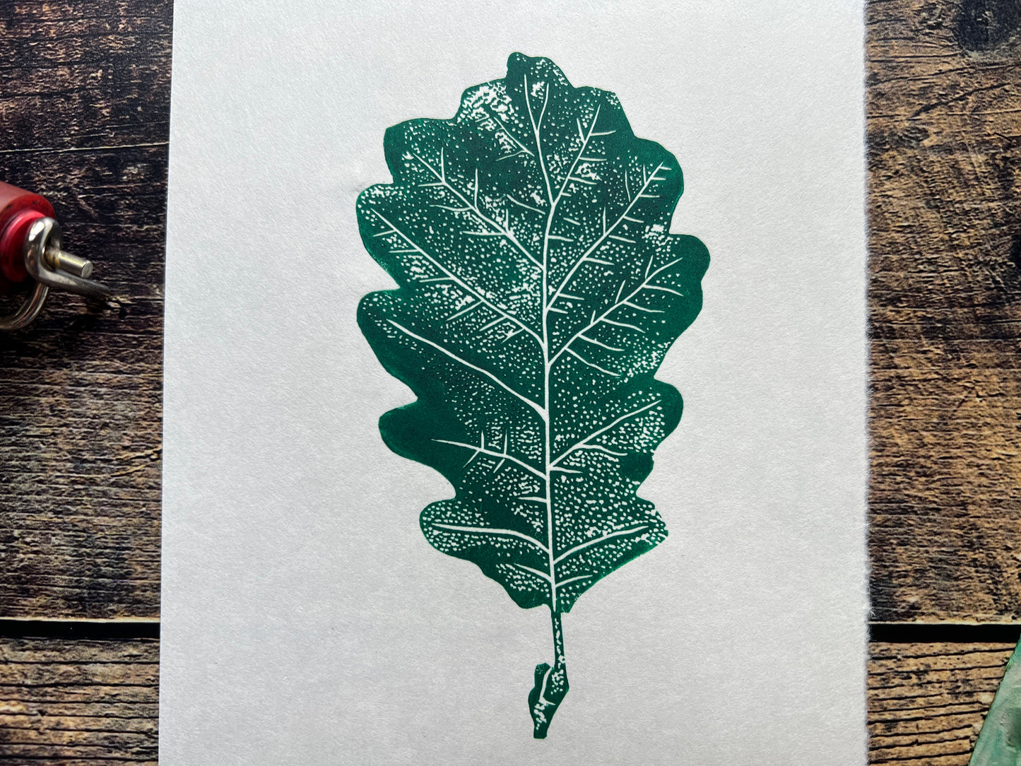 A lino print of an oak leaf in phthalo green.
