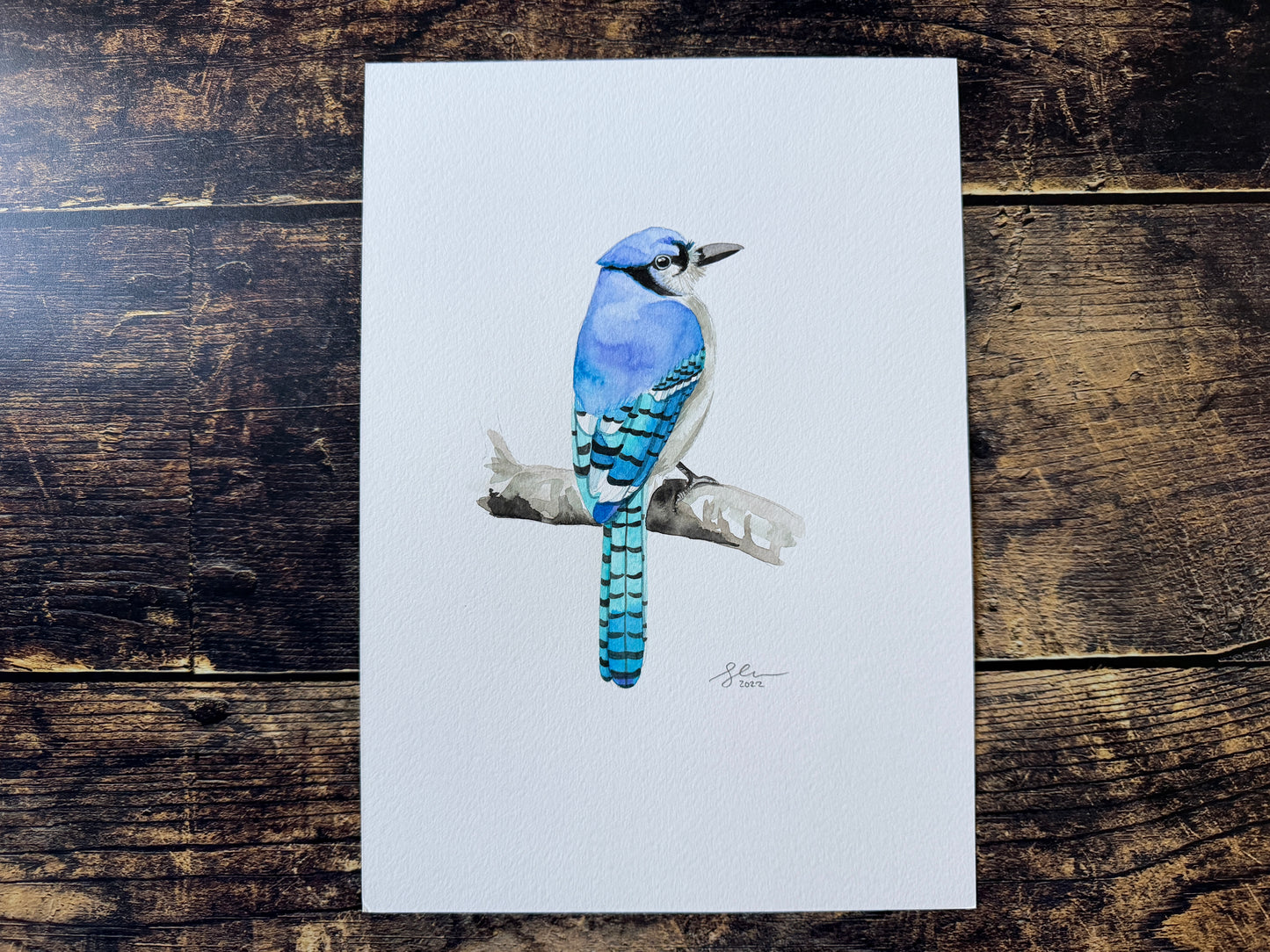 A watercolour painting of a blue jay