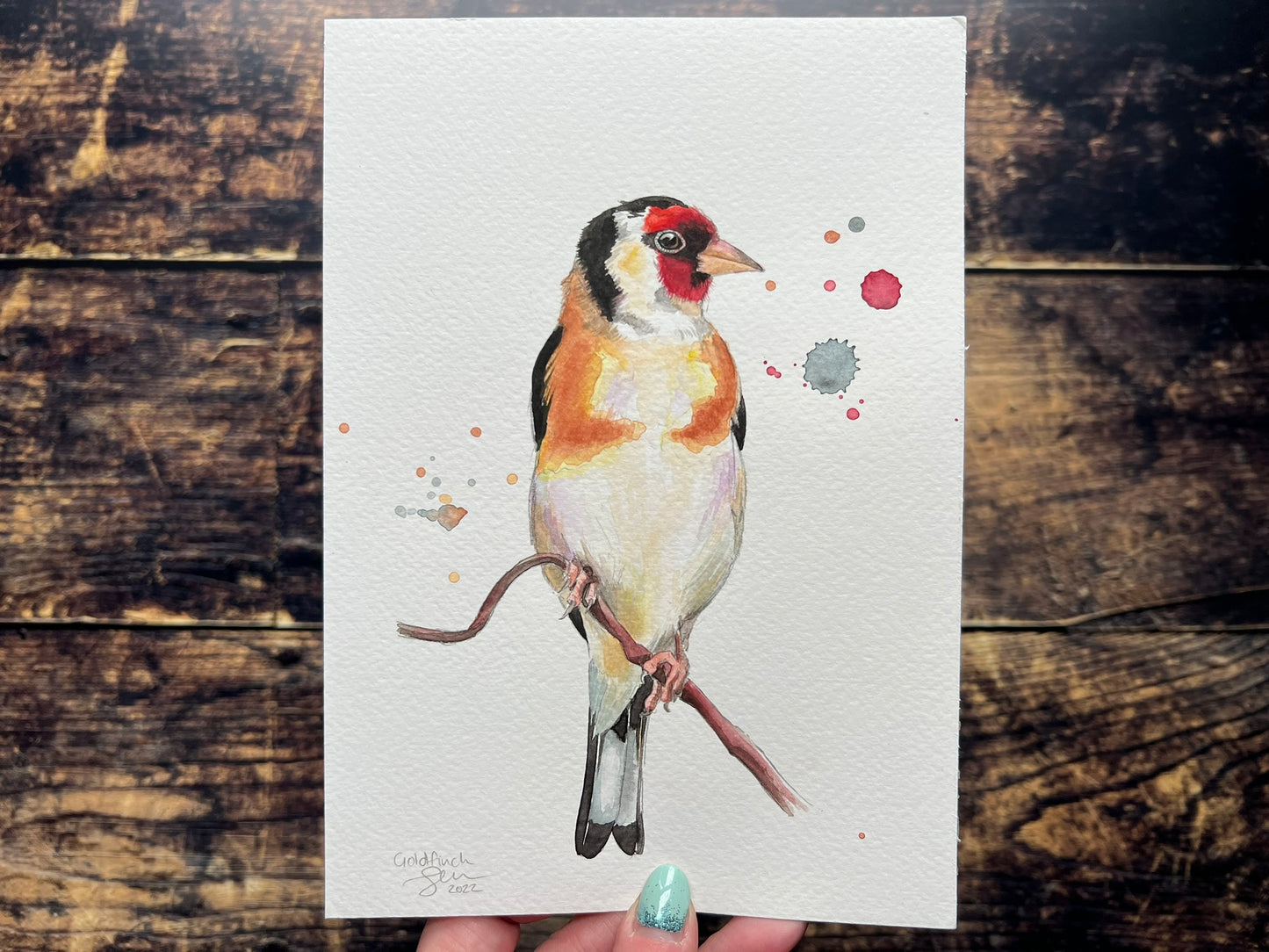 Goldfinch on a branch - A5 with splashes