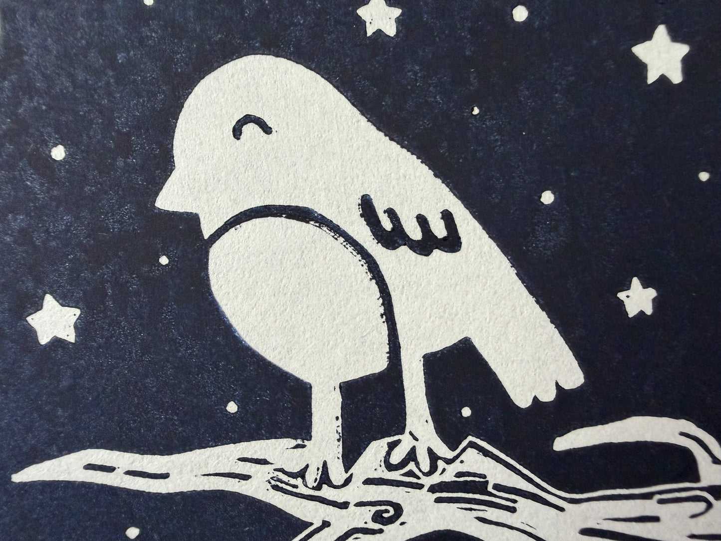 A close up showing a little ink scuffing on the bird