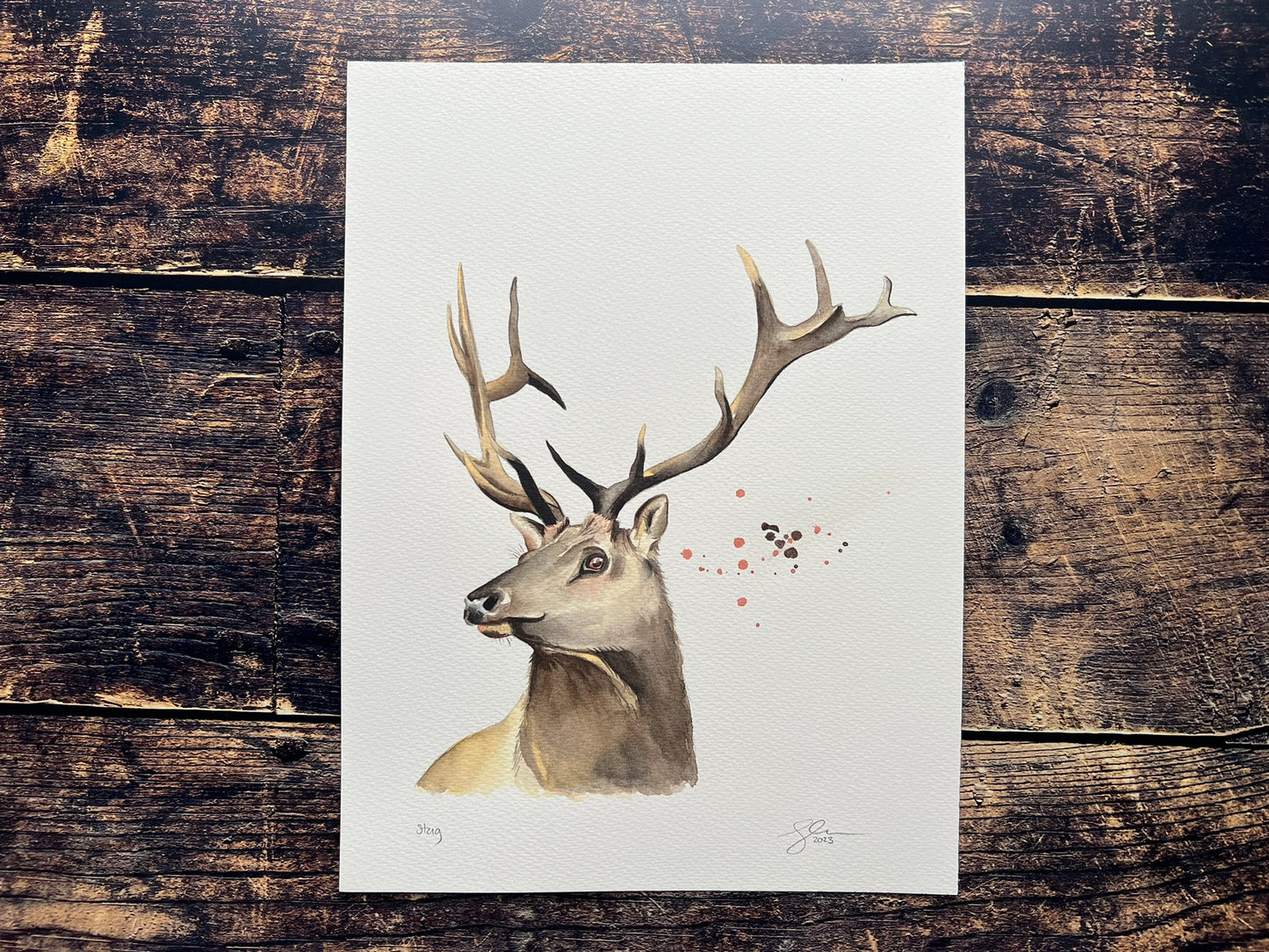 Stag watercolour painting