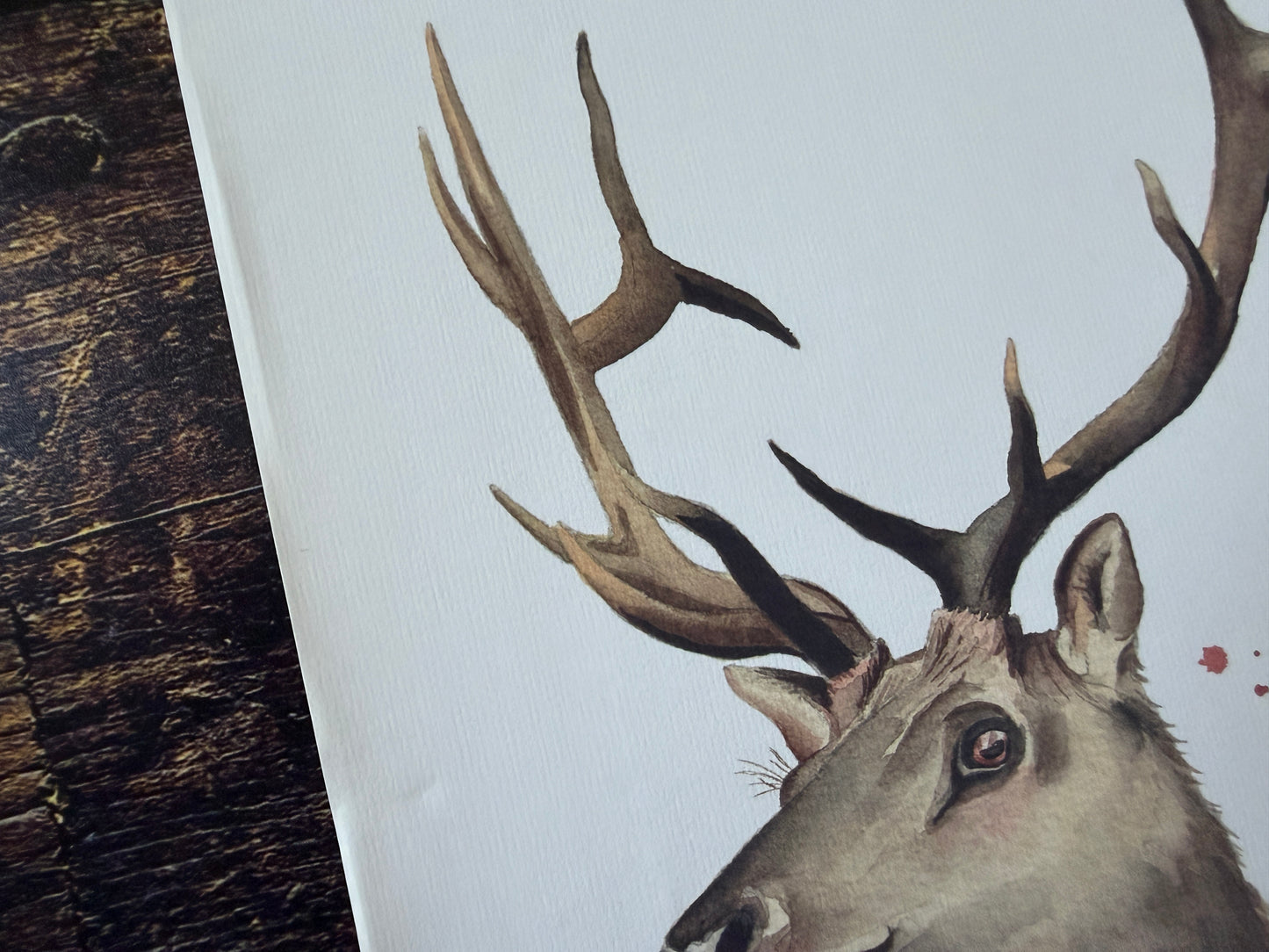 A close up of the creasing on the paper