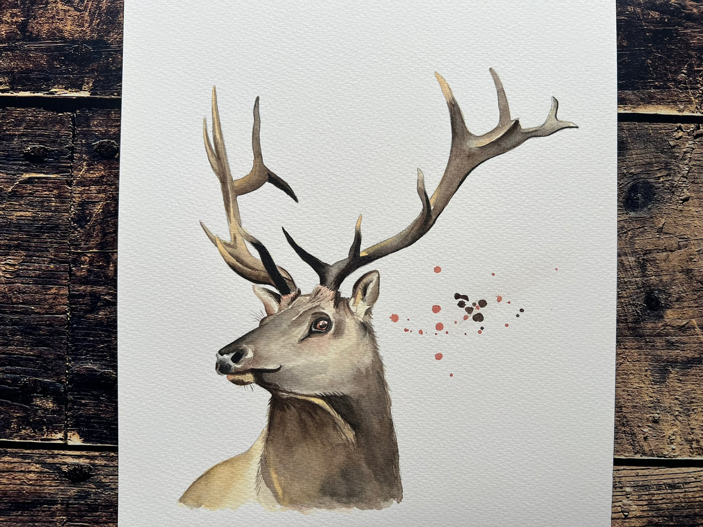 Stag watercolour painting