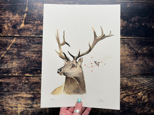 Stag watercolour painting