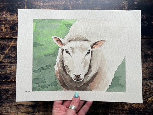 Sheep A4 watercolour painting