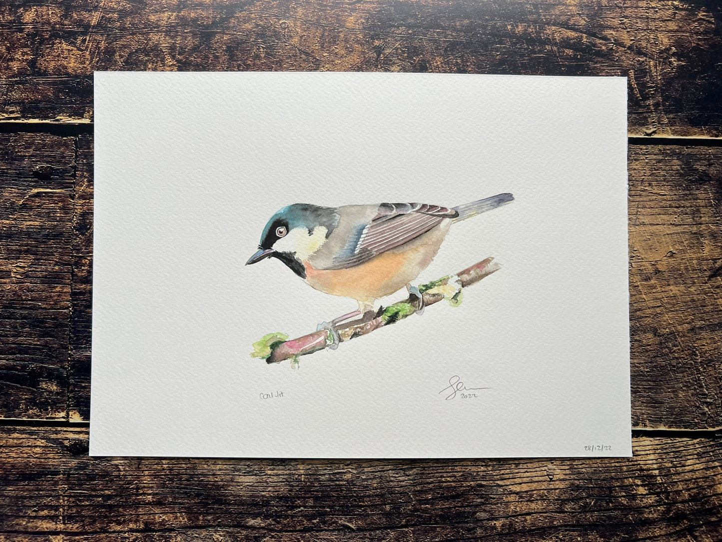 Coal tit A4 watercolour painting