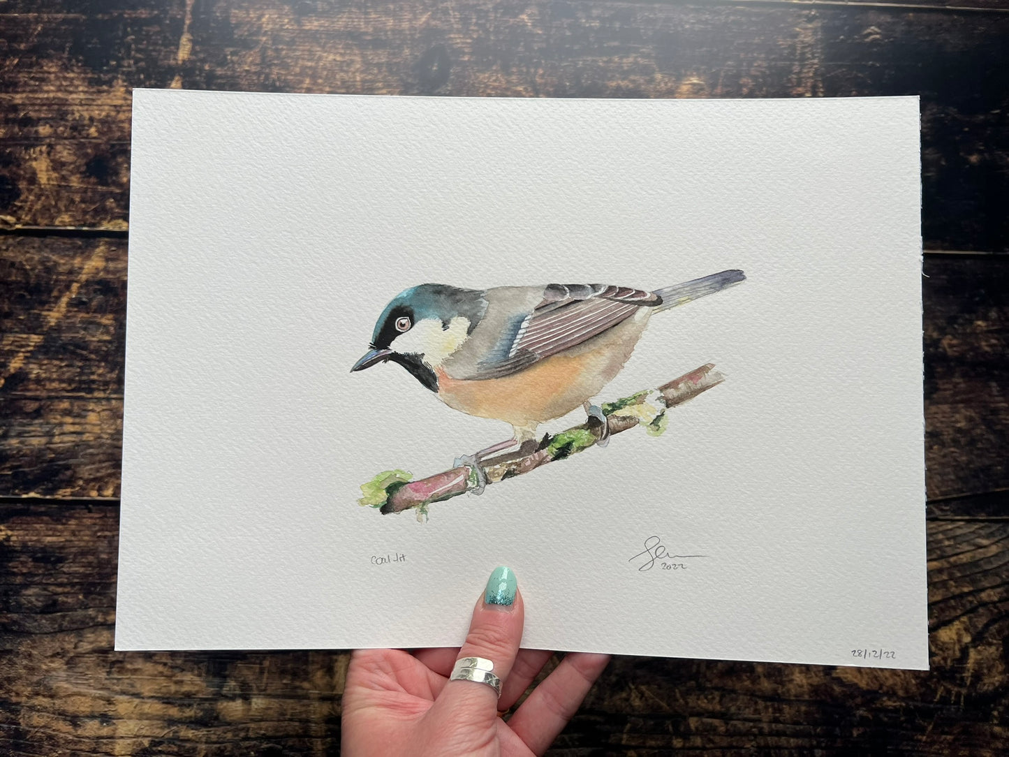 Coal tit A4 watercolour painting