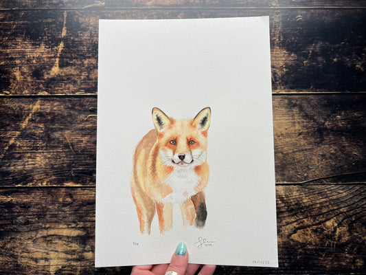 Fox A4 watercolour painting