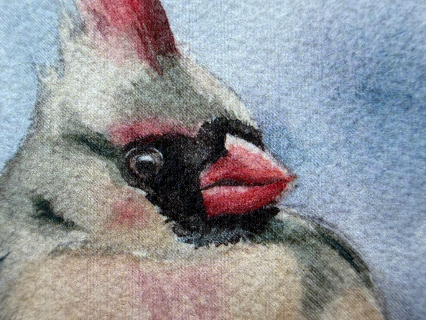 An art print of a male & female cardinal