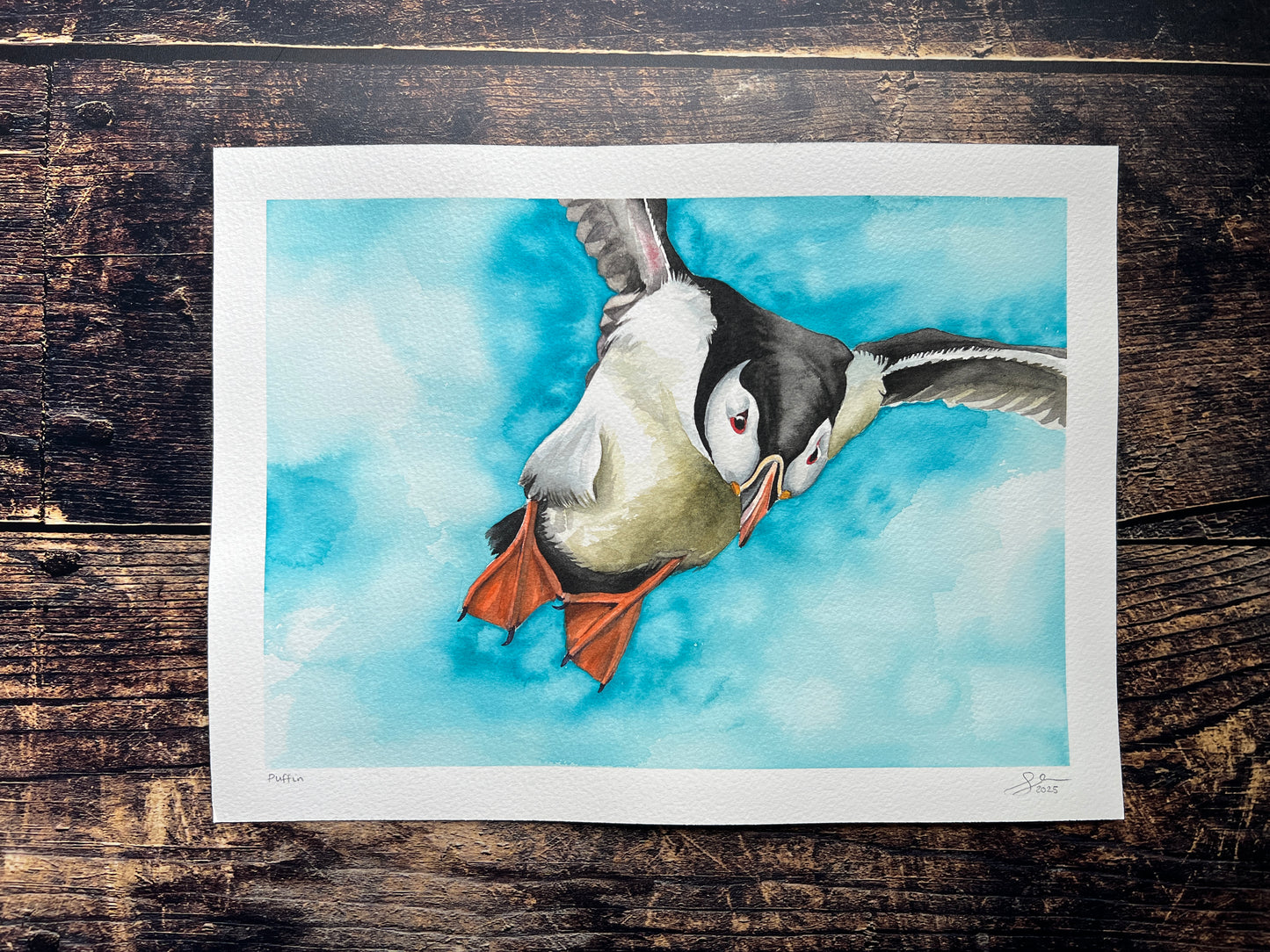 Watercolour painting of an atlantic puffin with a bright sky behind him
