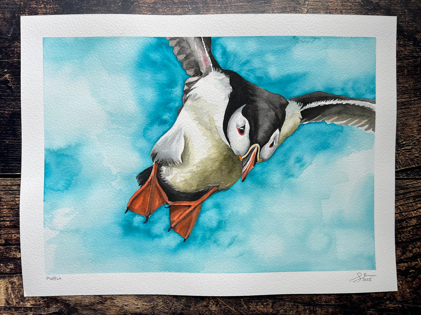 Watercolour painting of an atlantic puffin with a bright sky behind him