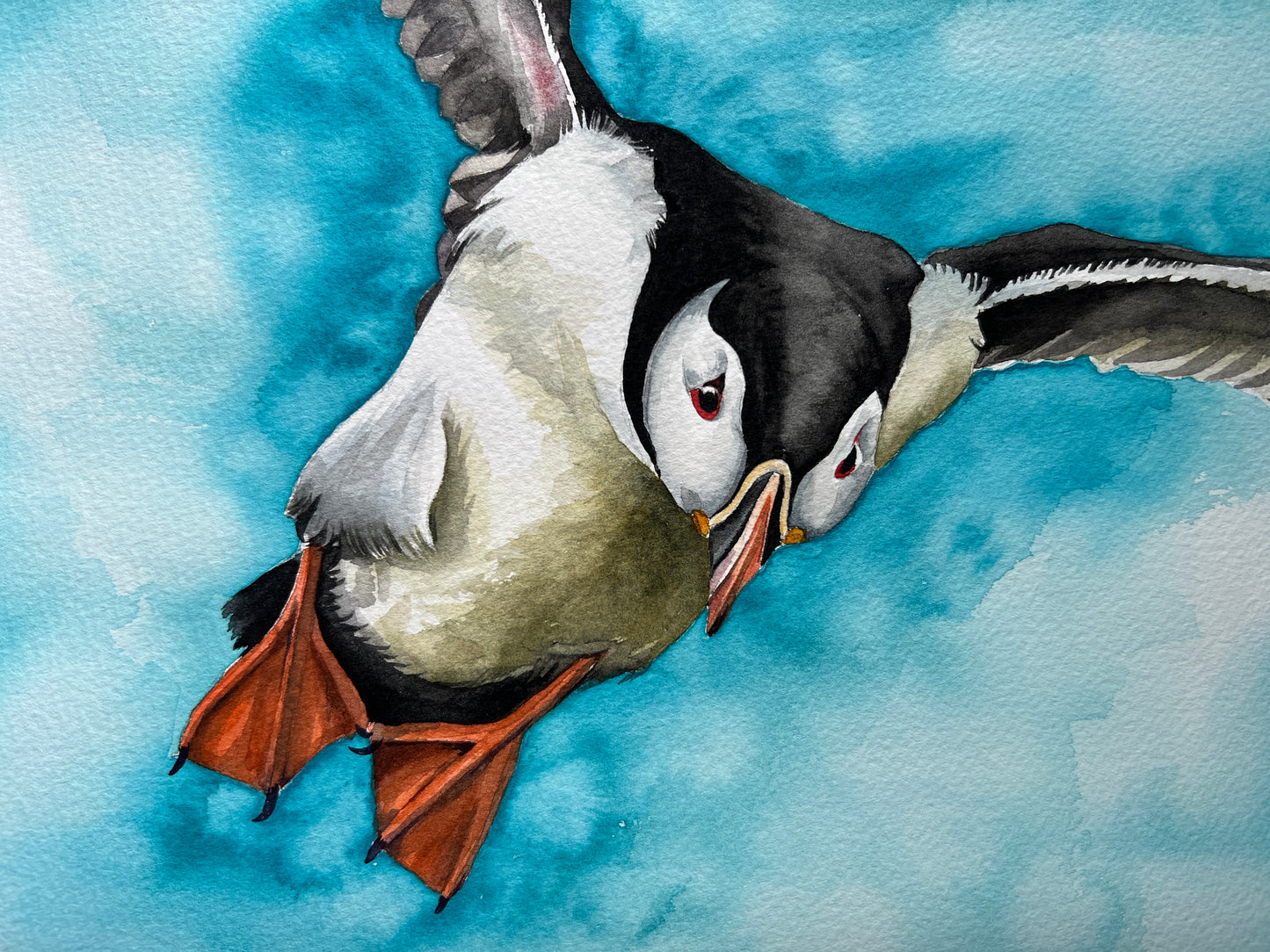 Watercolour painting of an atlantic puffin with a bright sky behind him