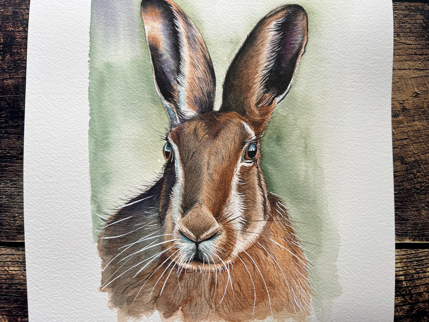Watercolor painting of a hare on a wooden surface