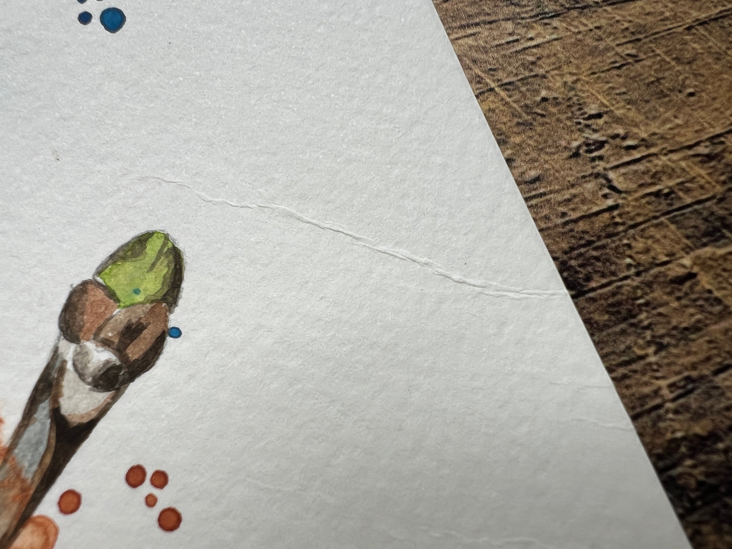 A close up of a crease in the watercolour paper