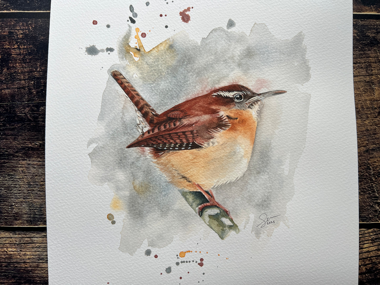 A watercolour painting of a carolina wren, with a cool wintery feel.