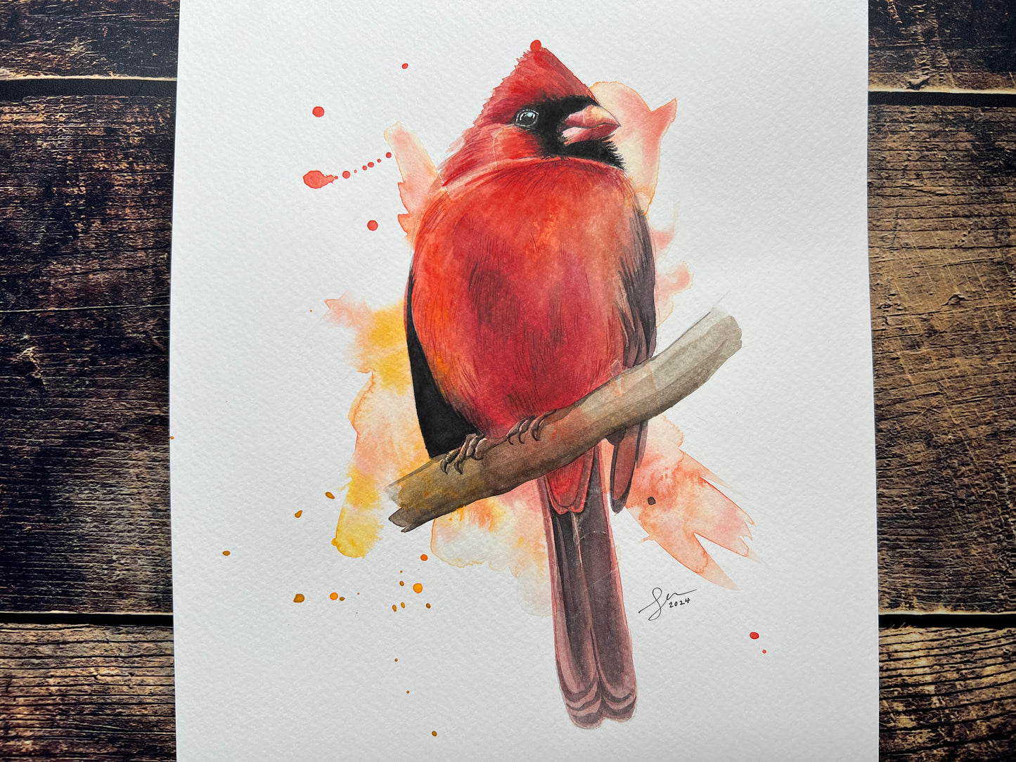 Male cardinal bird illustration on a white background with watercolor splashes, placed on a wooden surface.