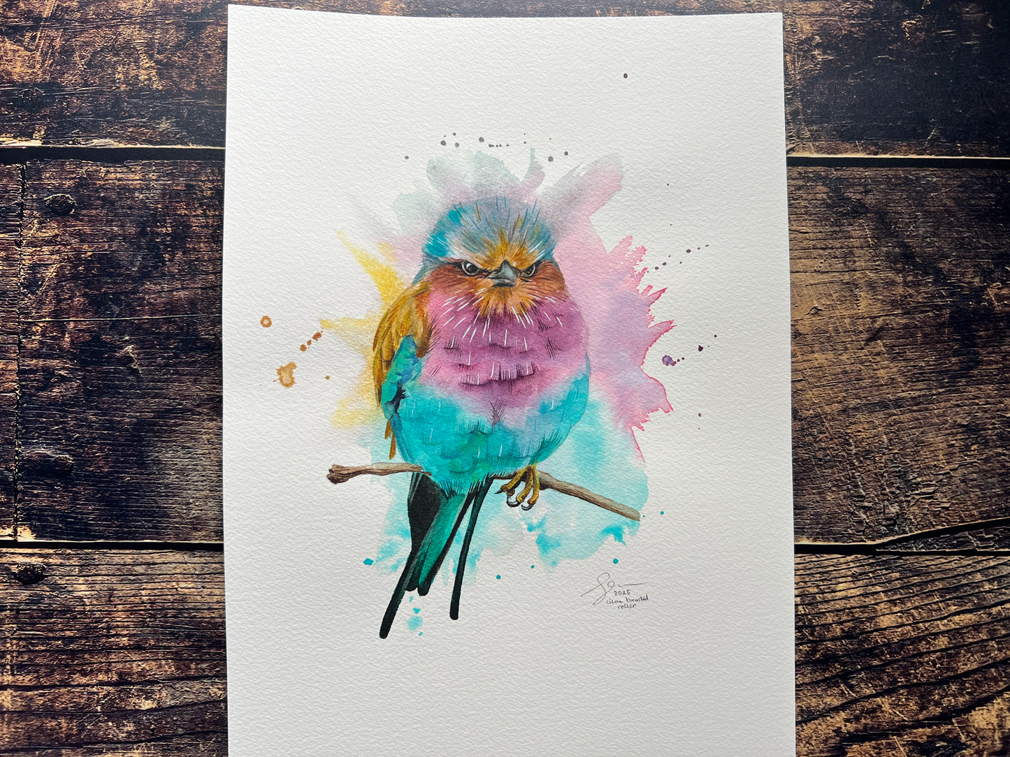 An expressive watercolour painting of a lilac breasted roller on a branch