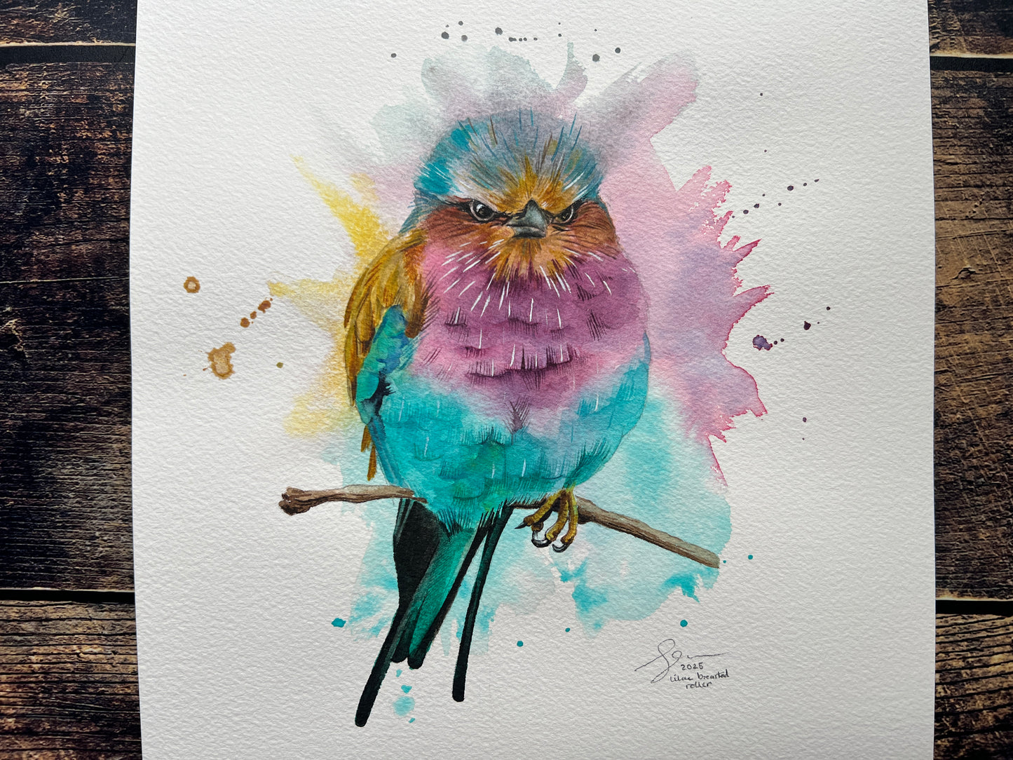 An expressive watercolour painting of a lilac breasted roller on a branch