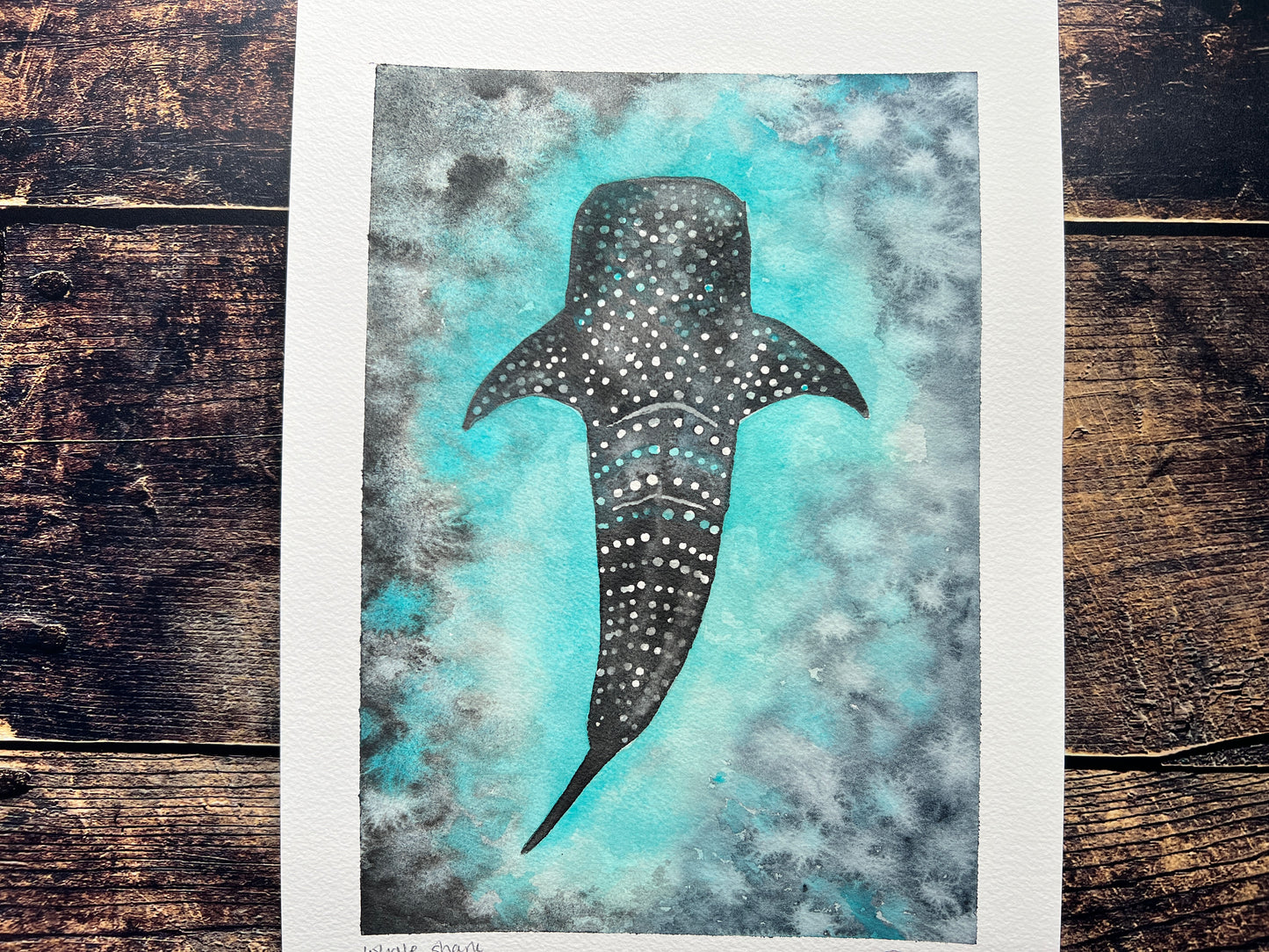 Watercolour painting of a whale shark