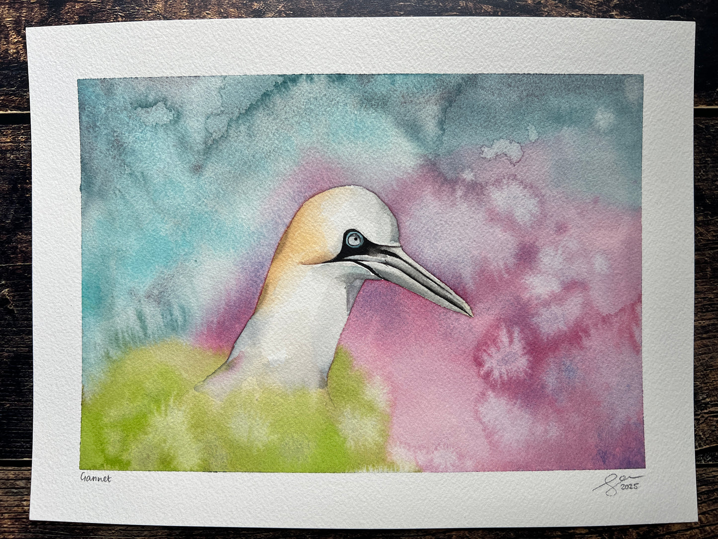 A highly textured watercolour painting of a gannet, surrounded by spring colours (pink, blue, green).