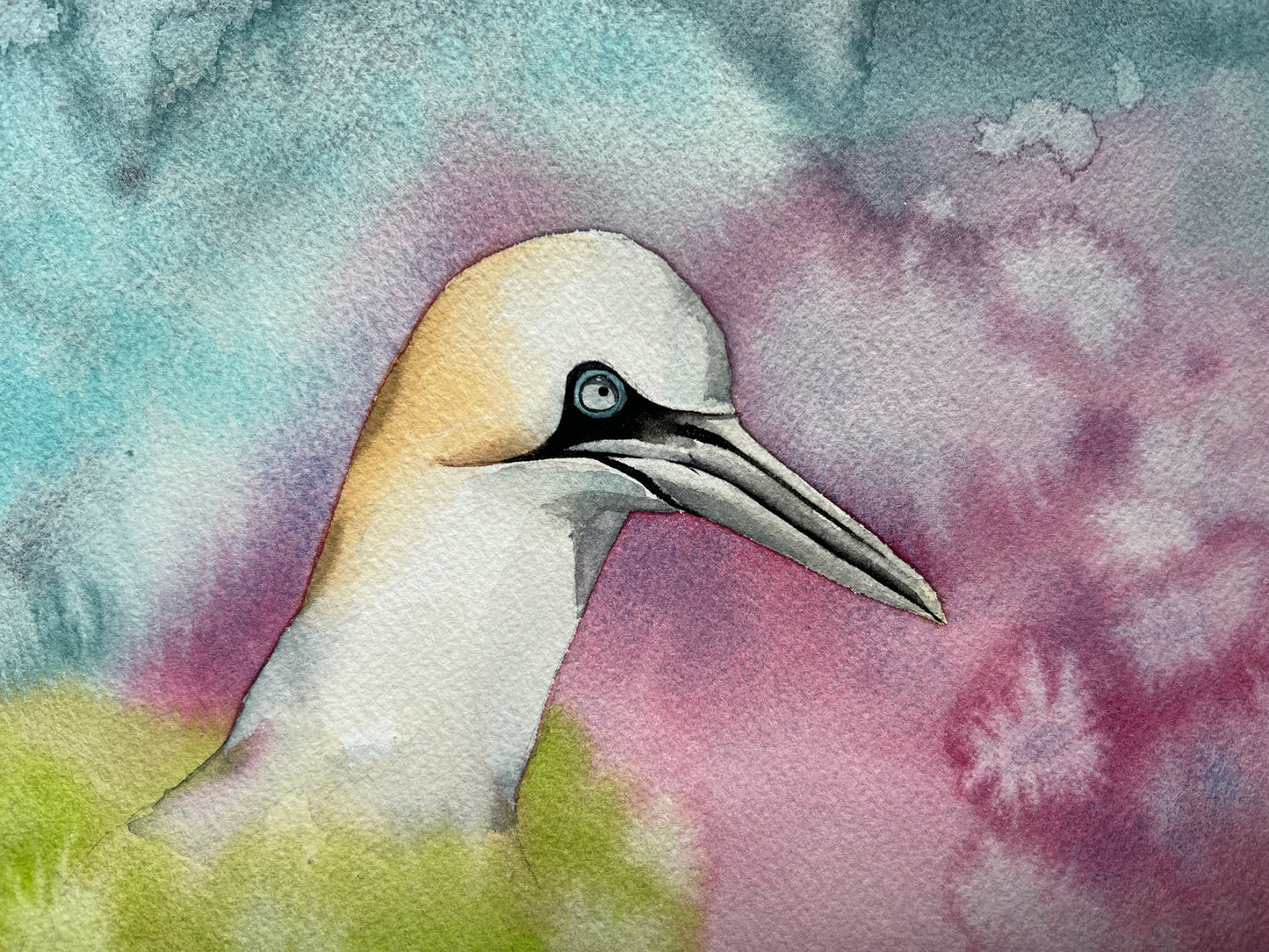 A highly textured watercolour painting of a gannet, surrounded by spring colours (pink, blue, green).