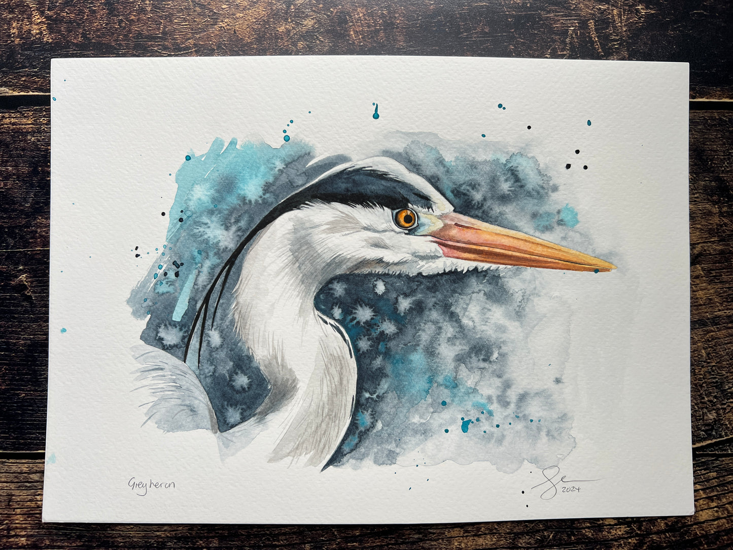An expressive watercolour portrait of a grey heron