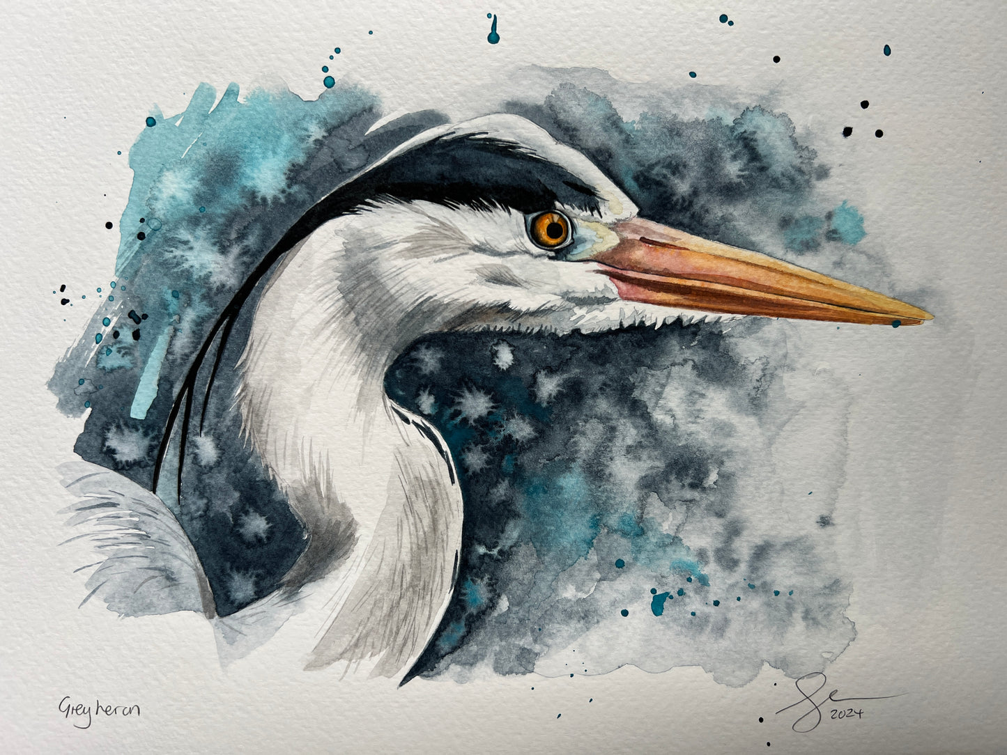 An expressive watercolour portrait of a grey heron