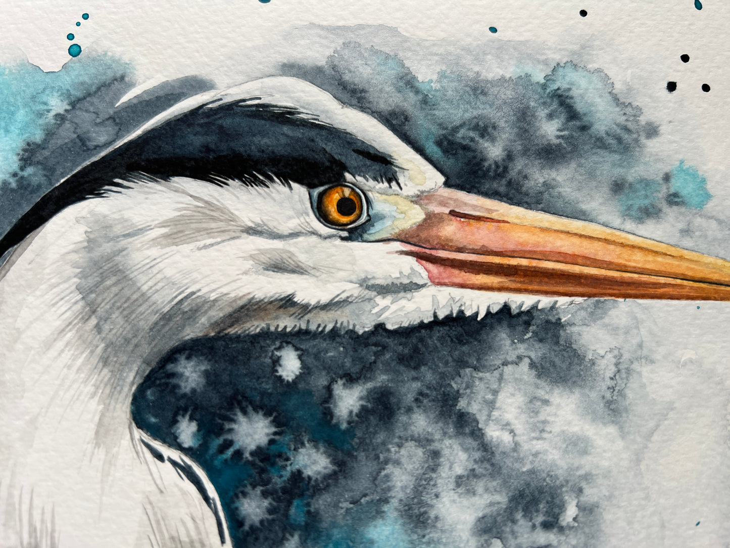 An expressive watercolour portrait of a grey heron