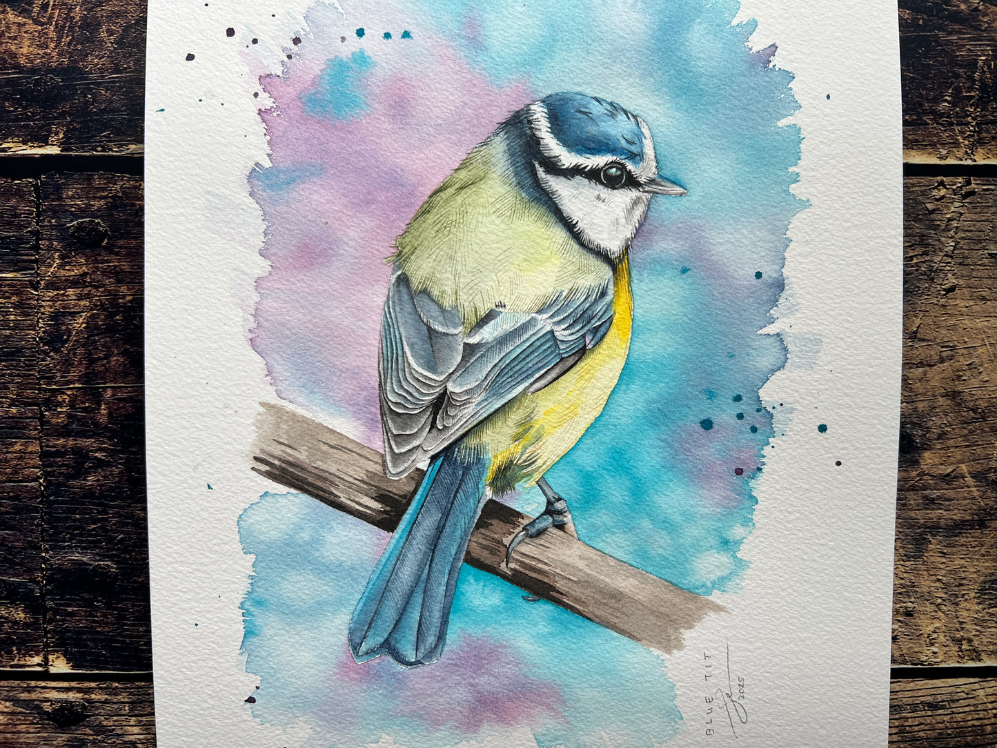 A watercolour painting of a blue tit, surrounded by an explosion of spring colours