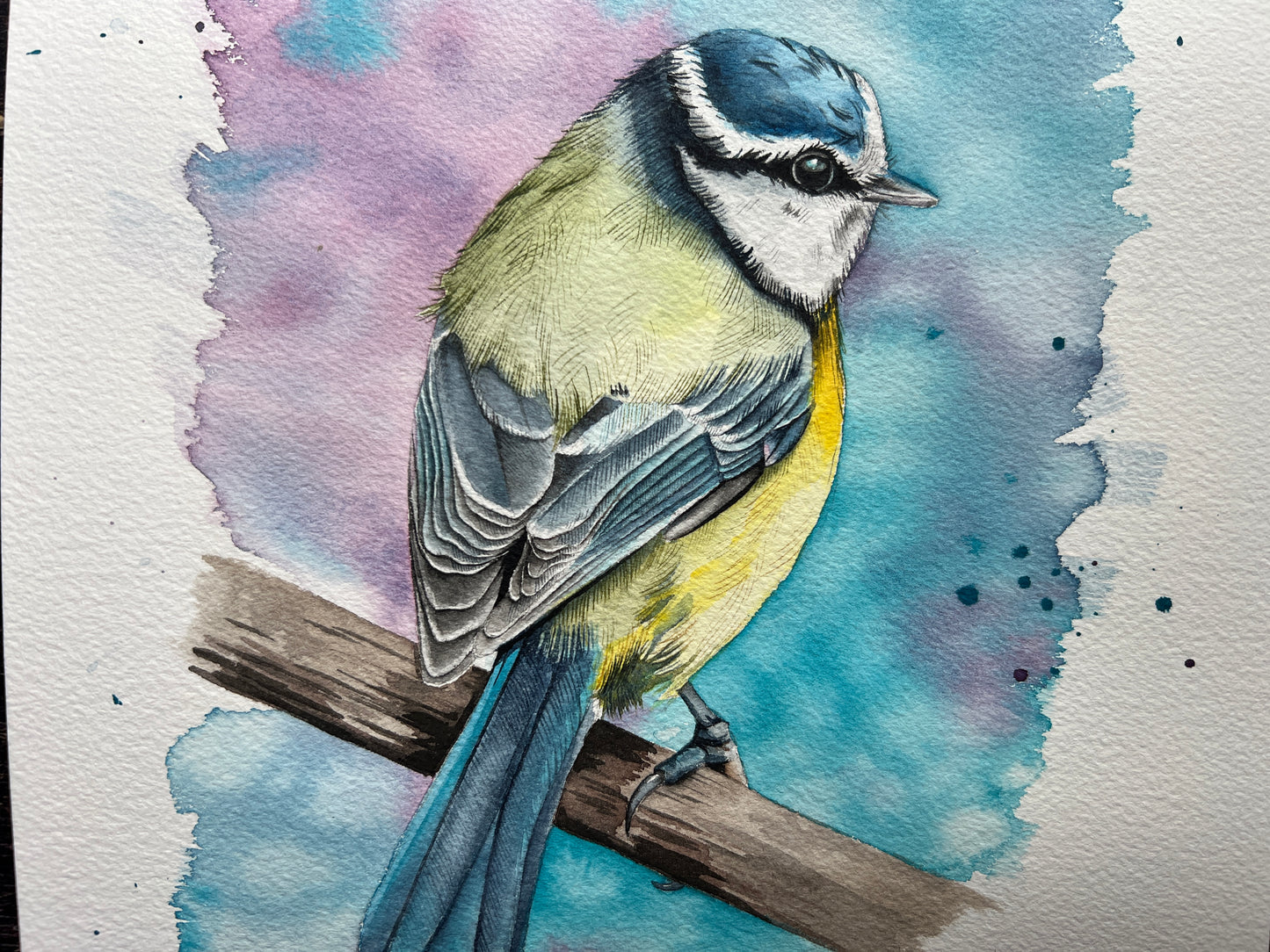 Spring blue tit | original watercolour painting
