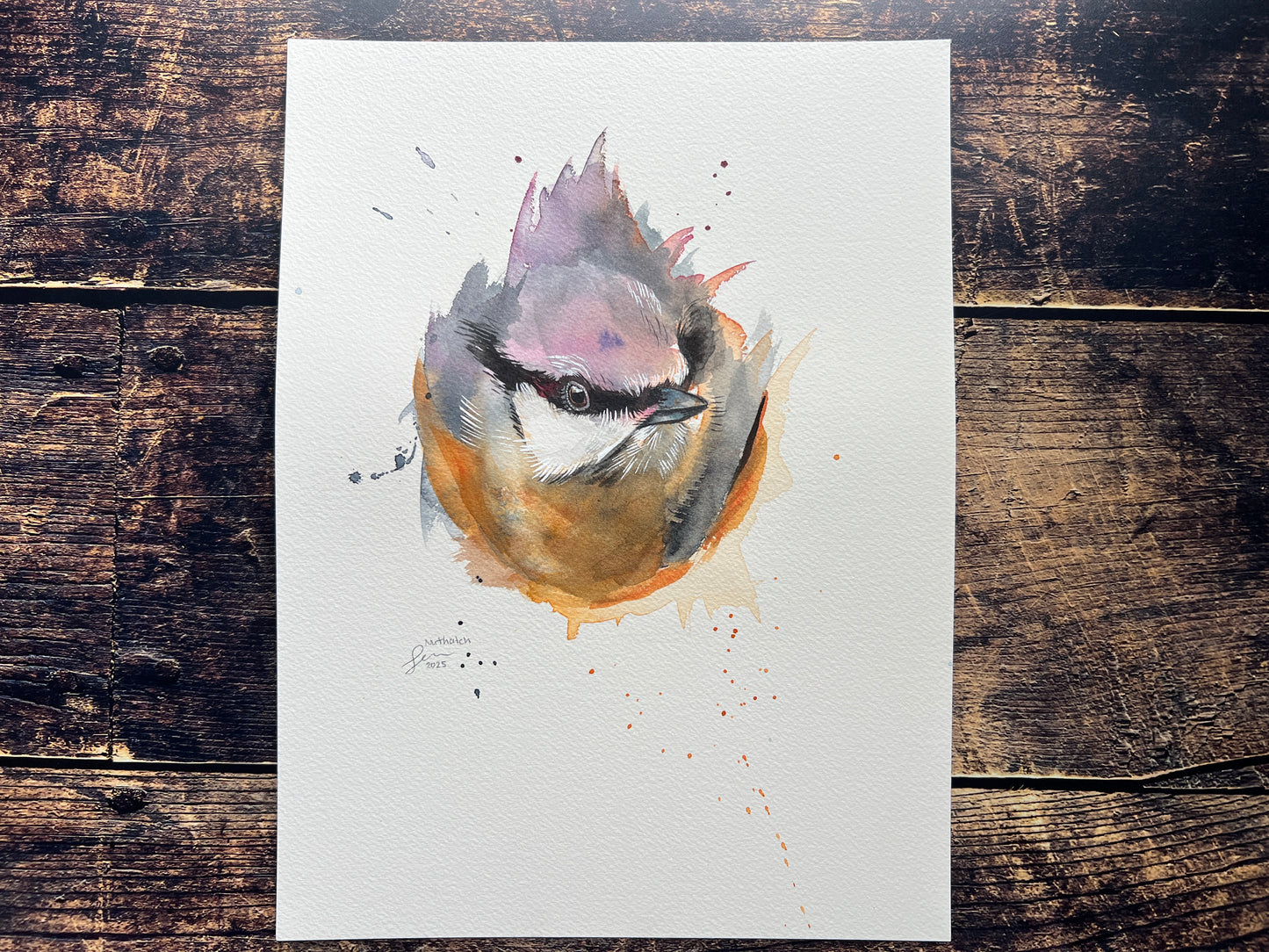 An expressive watercolour portrait painting of a nuthatch, emerging from the background.