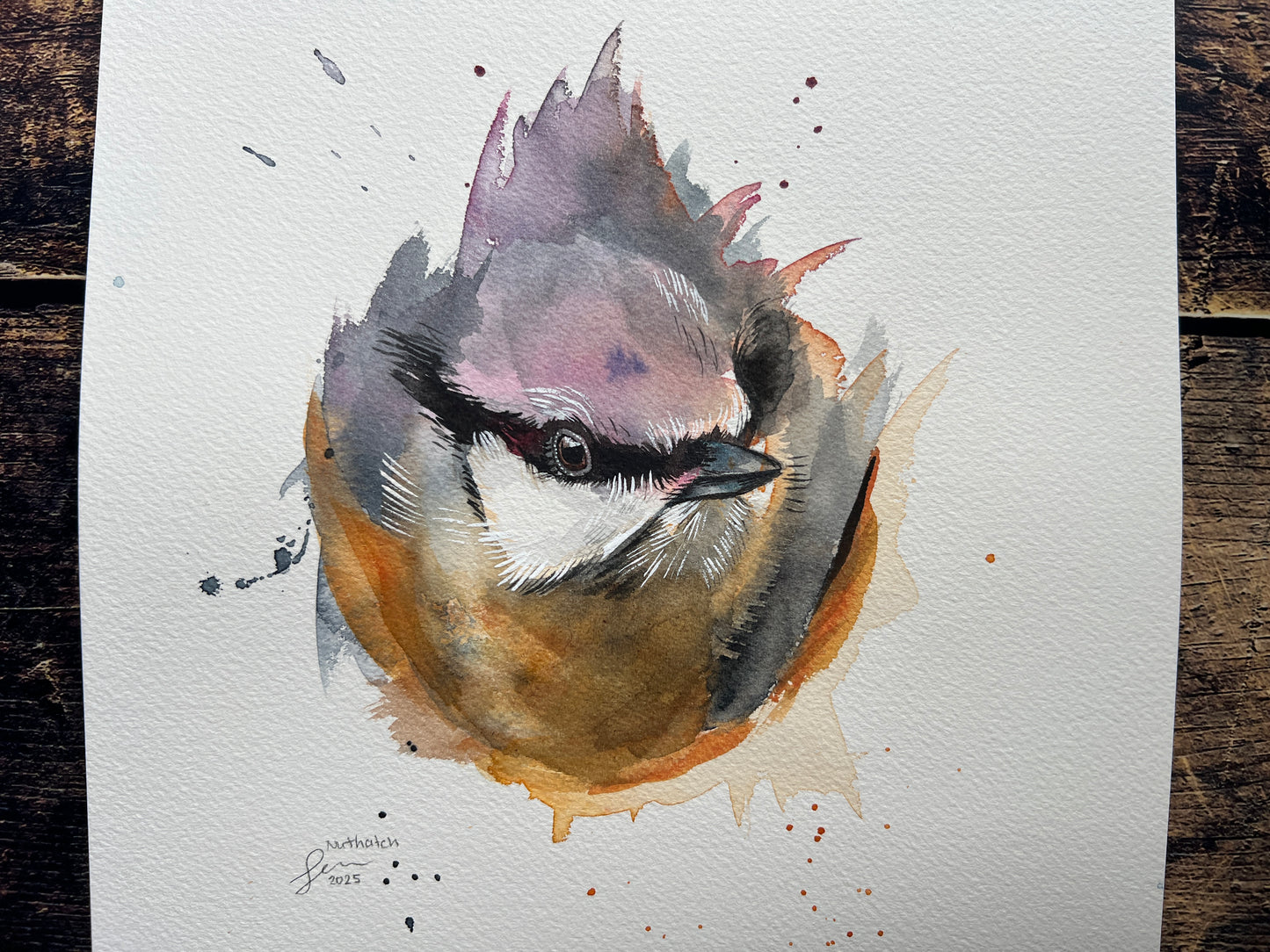 An expressive watercolour portrait painting of a nuthatch, emerging from the background.