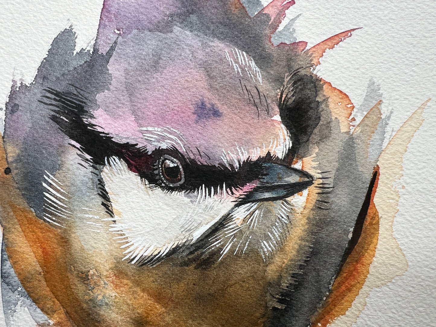 An expressive watercolour portrait painting of a nuthatch, emerging from the background.