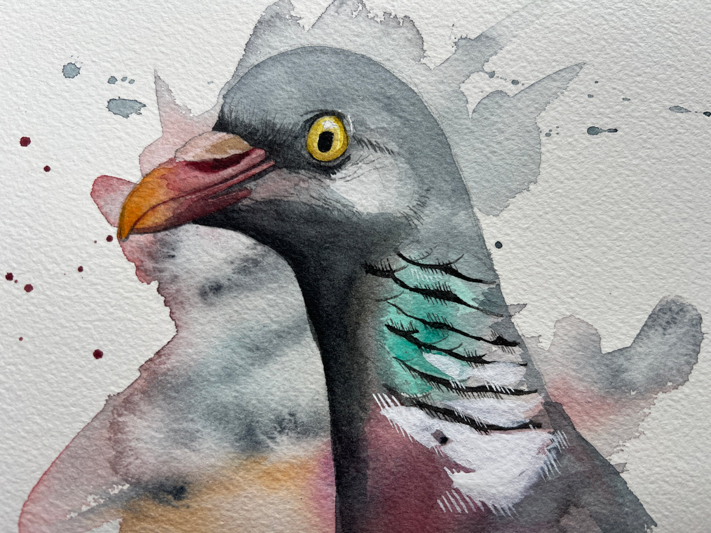 A watercolour portrait of a wood pigeon, painted in an expressive style