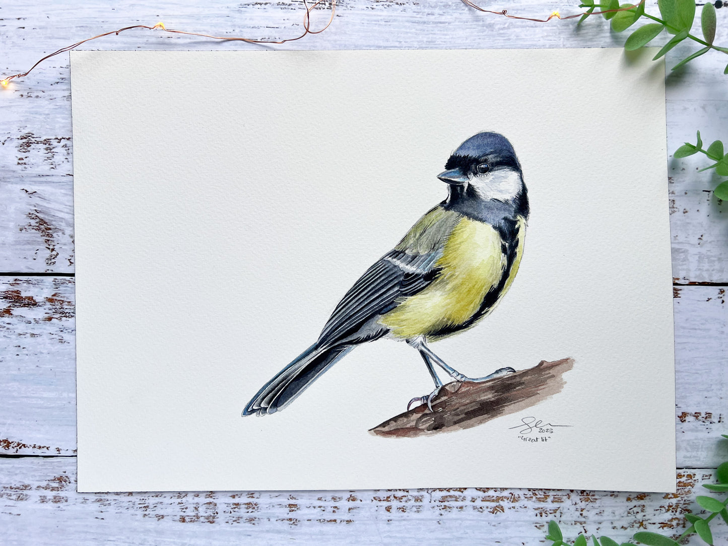 An original watercolour painting of a great tit