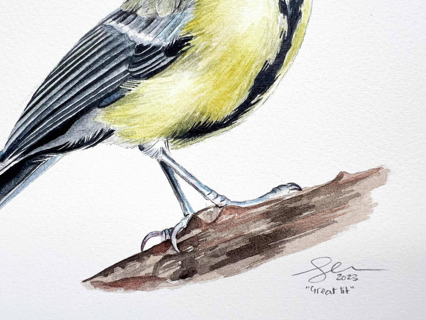 An original watercolour painting of a great tit
