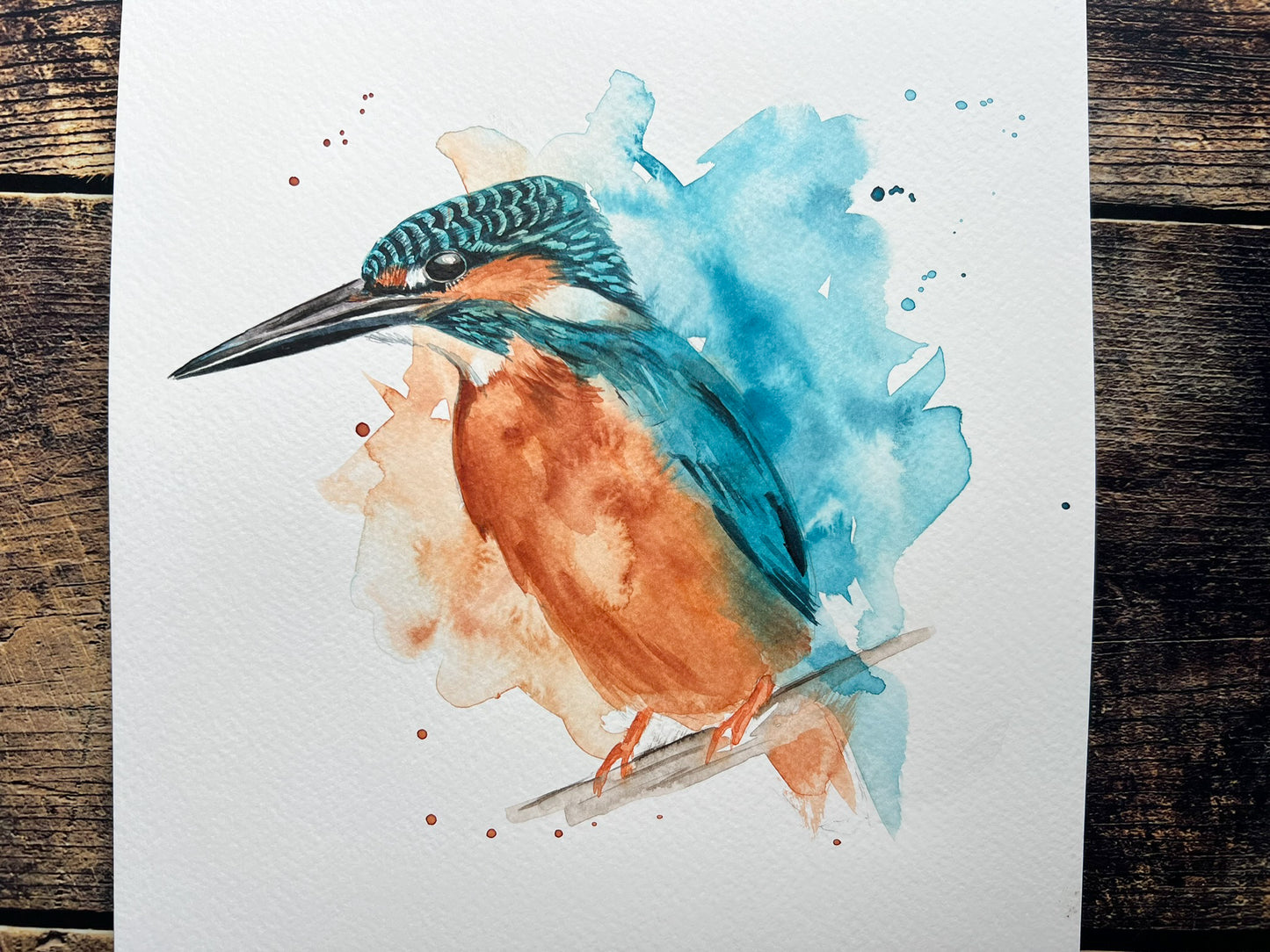 Kingfisher splash A4