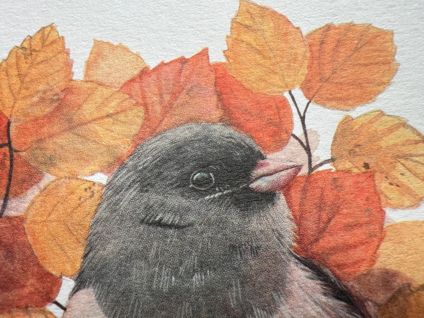 A close up showing the print quality