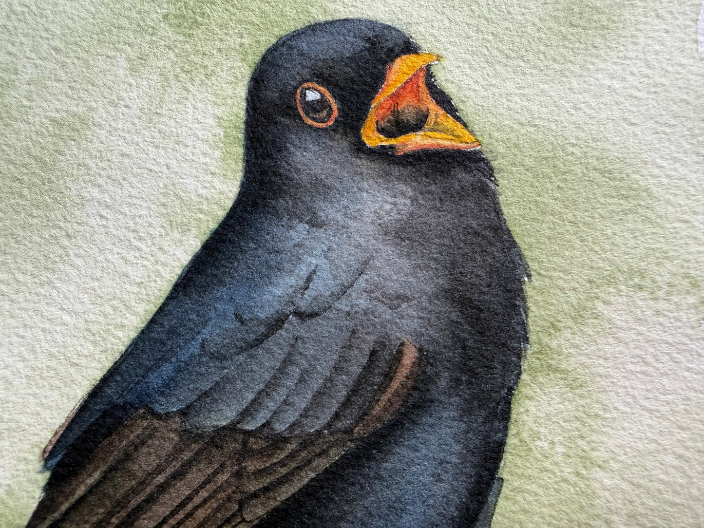 This is a watercolour painting of a blackbird singing on a branch