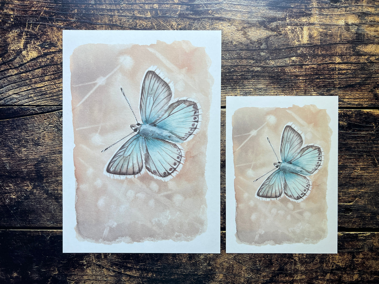 Butterfly (chalkhill blue) watercolour print on a recycled paper against a wooden background