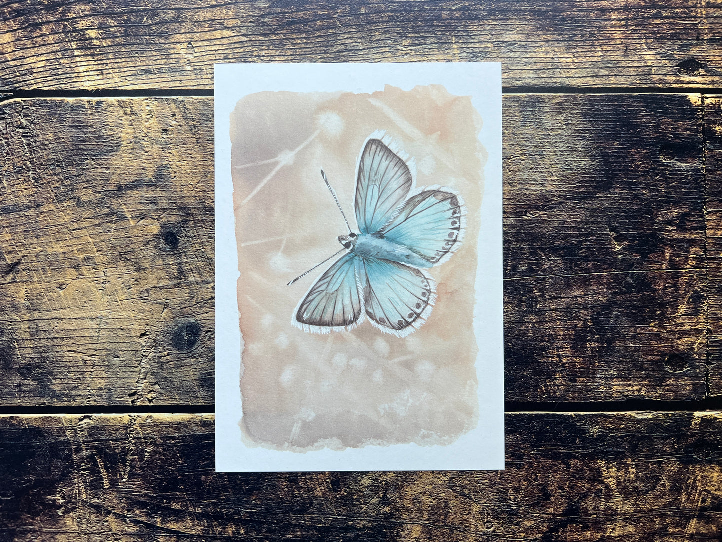 Butterfly (chalkhill blue) watercolour print on a recycled paper against a wooden background