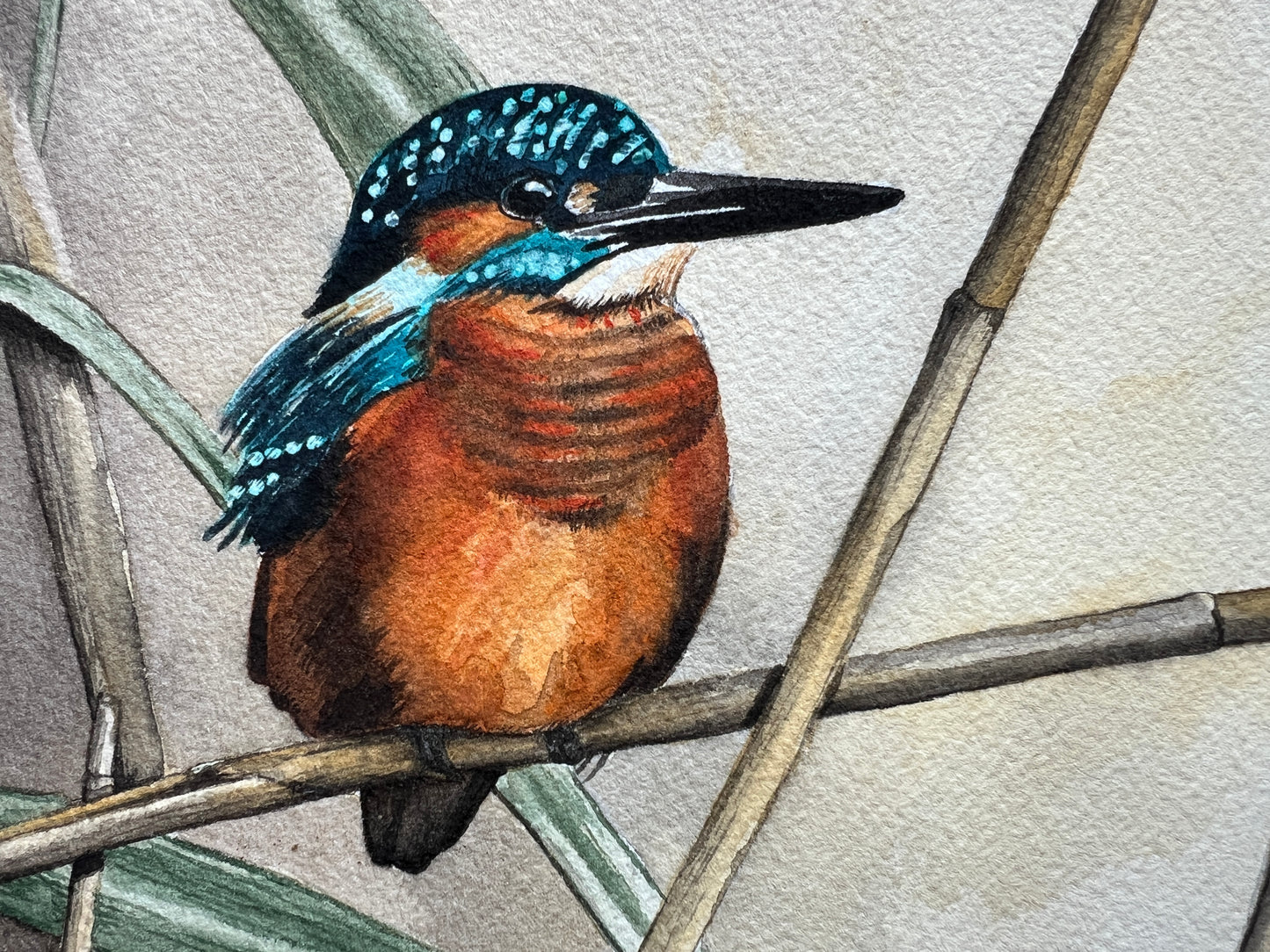 A watercolour painting of a kingfisher sitting among the reeds
