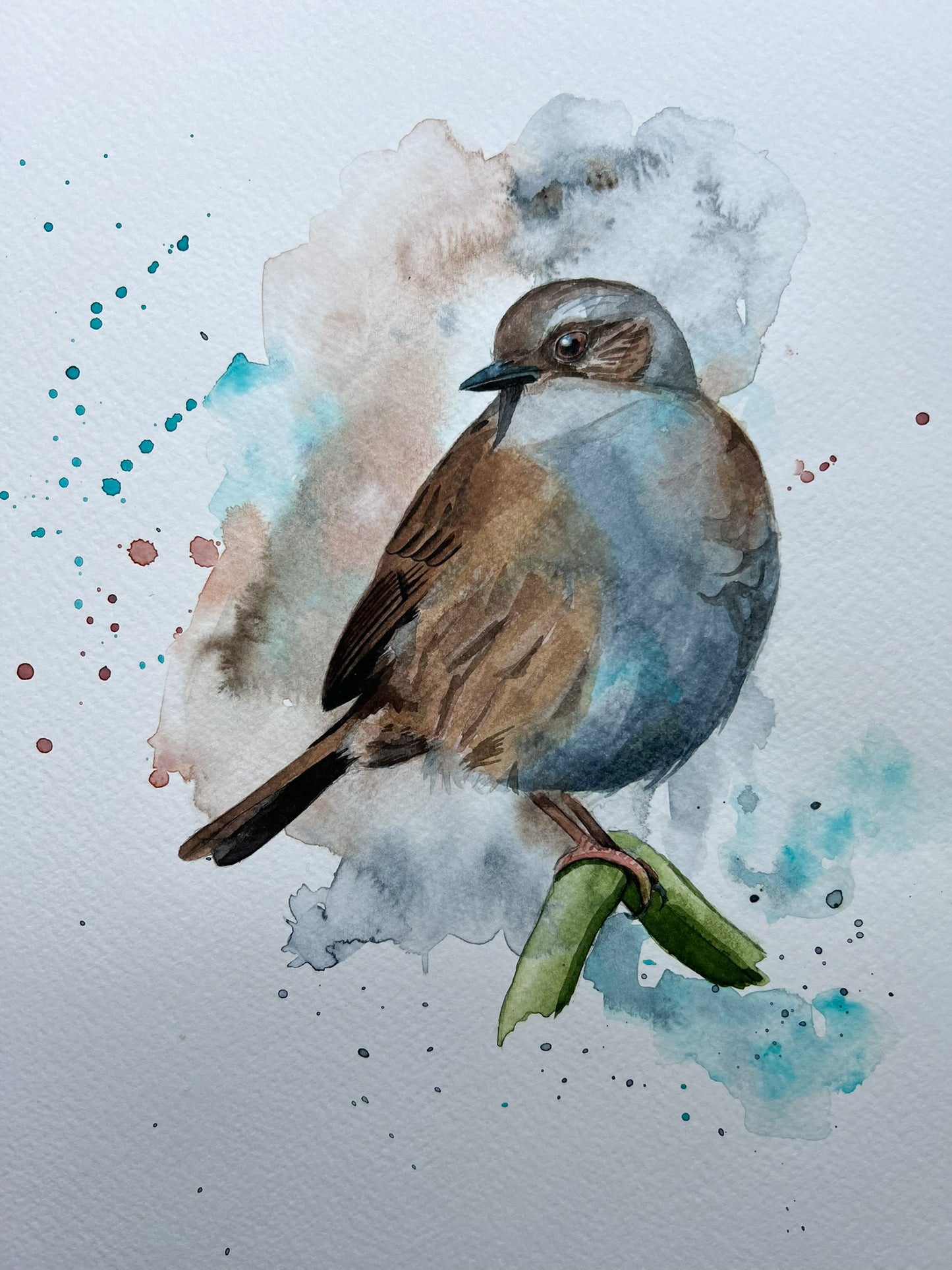 An A4 original watercolour painting of a dunnock on 300gsm watercolour paper.