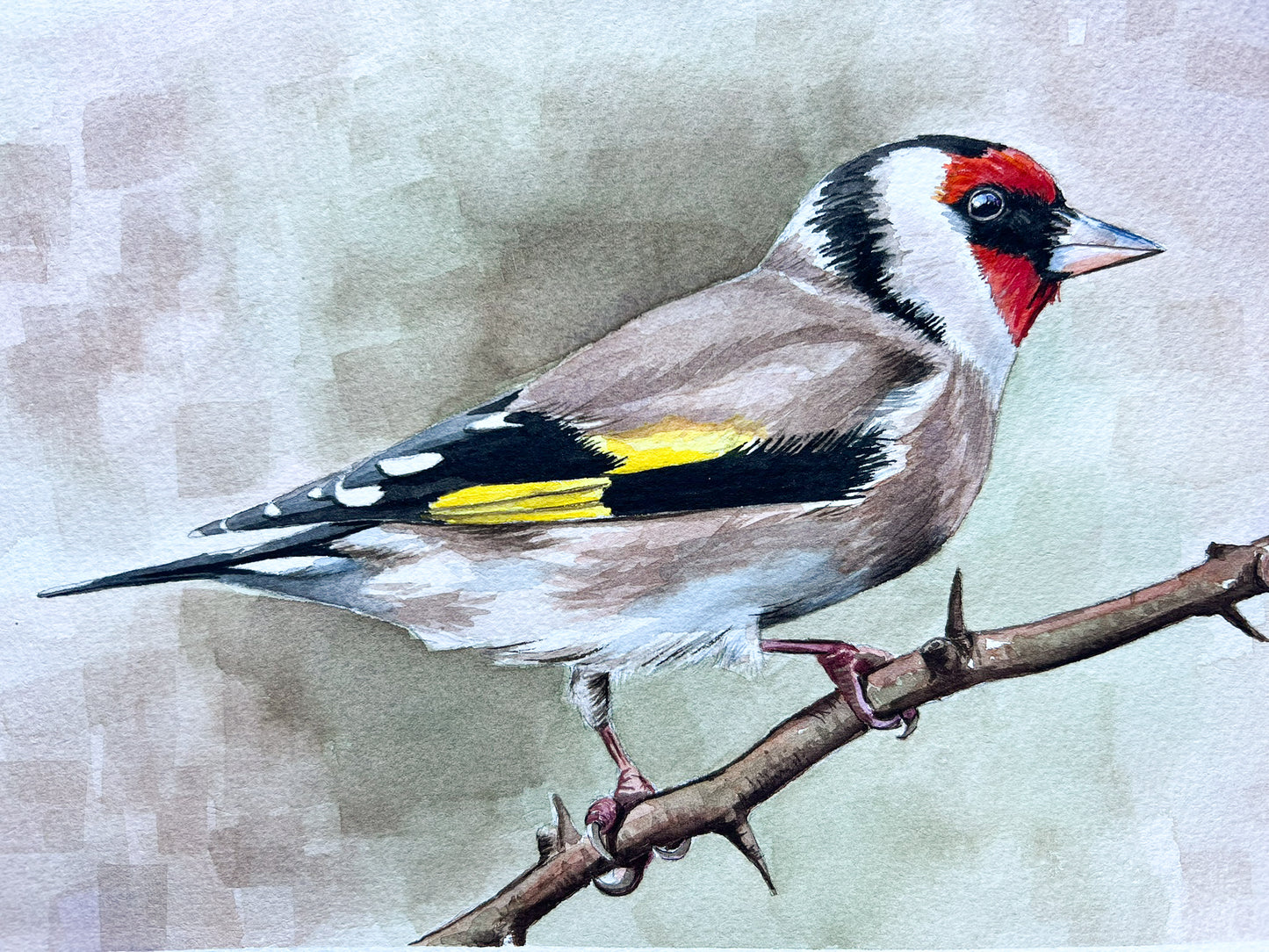 Goldfinch 12x9 watercolour painting