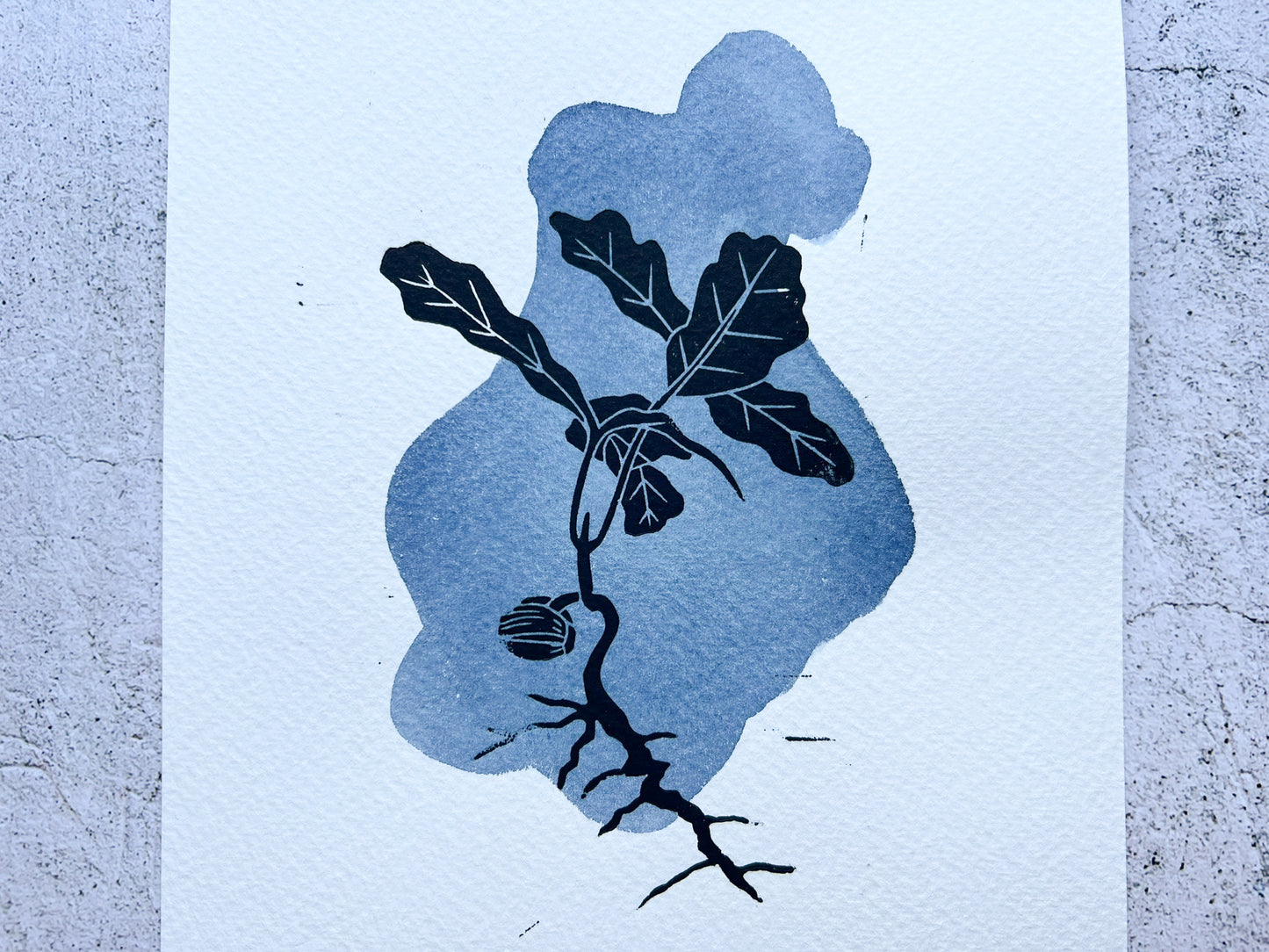 Mixed media oak sapling print - SALE
