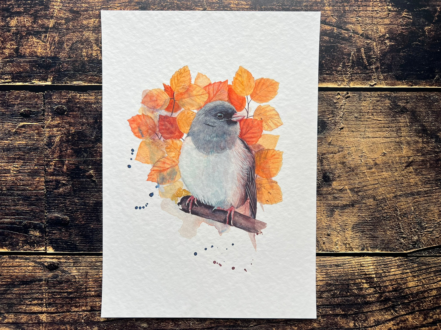 This is a watercolour print of a dark eyed junco, surrounded by autumnal coloured leaves
